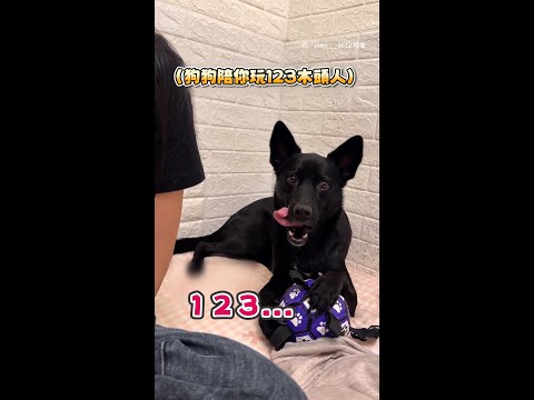 【要幾遍！】黑狗配合主人玩123木頭人　玩太多次氣到低吼抗議XD #Shorts thumbnail