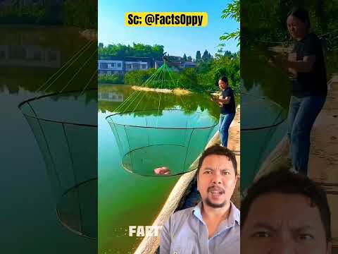Menjala ikan dapat banyak!!)!#short #shortsfeed #funny #trendingshorts thumbnail