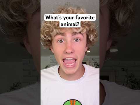 What’s your favorite animal?￼ thumbnail