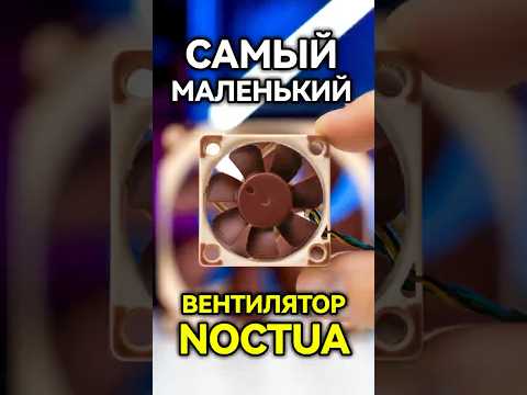 Зачем серверному железу такие маленькие вентиляторы? #noctua #server #fan #chatgpt #nvidia #pc thumbnail