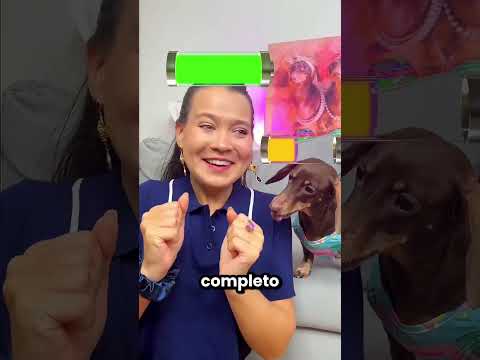 Este Perro Es Muy Bueno Con Su Familia 🤩❤️ thumbnail