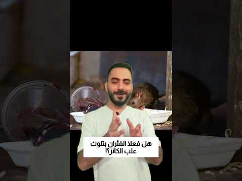 هل فعلا الفئران بتلوث علب الكانز في المصنع؟! thumbnail
