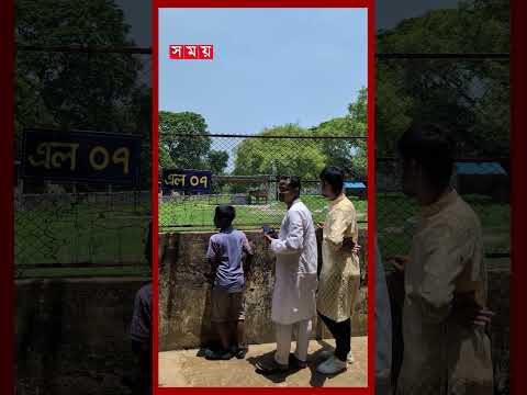 ভাইরাল মহিষ ‘ডোনাল্ড ট্রাম্প’কে দেখতে চিড়িয়াখানায় উৎসুক জনতার ভিড় #eiduladha #donaldtrump #somoytv thumbnail