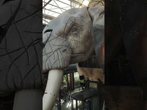 The Mechanical Elephant #shorts #อาหารสมอง thumbnail