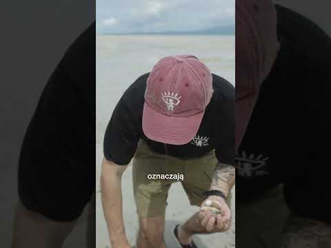 tak przetrwacie na oceanie thumbnail