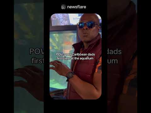 When do they cook the fish? thumbnail