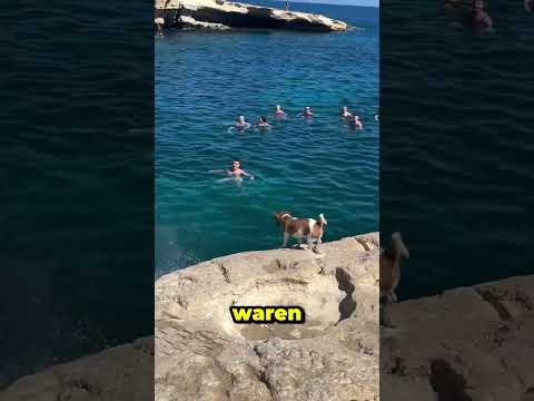 Unglaubliche schwimmtechnik thumbnail