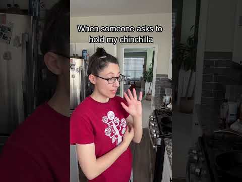 Like please be so careful 🥲 #pets #chinchilla #fragile #shorts thumbnail