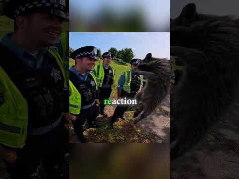 Priceless Reactions From Cops! ? thumbnail