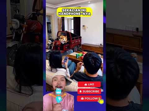 DOGGIE siapa ini masuk rumah!!?! #funny #comedy #shortvideo thumbnail