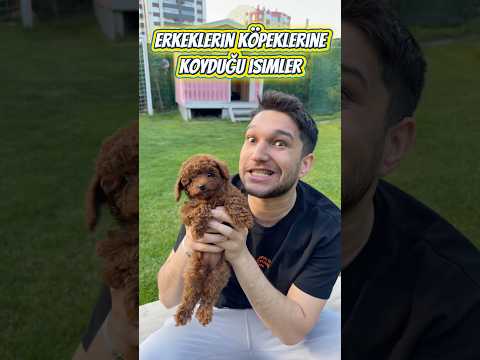 Kızların köpeklerine koyduğu isimler thumbnail