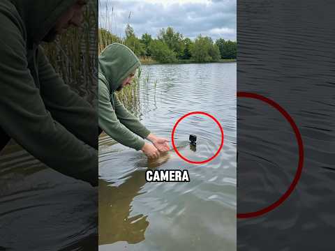 He Attached a Camera on a Fish and Saw This‼️😱 thumbnail