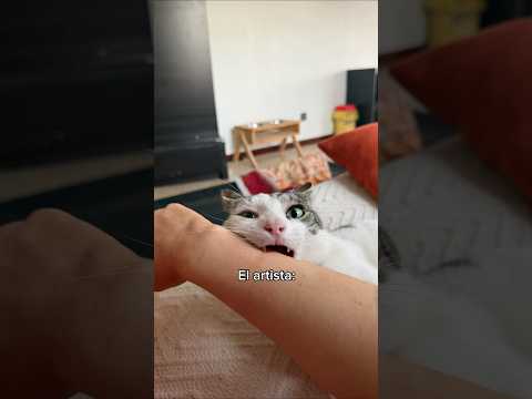 LAURA|| Es un artista mi niño 🫂 thumbnail