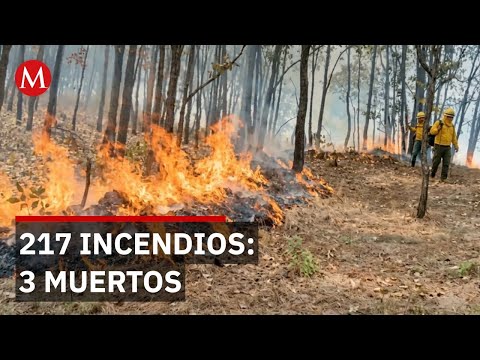 Tres personas murieron intentando salvar sus casas durante 217 incendios que devastaron el estado thumbnail