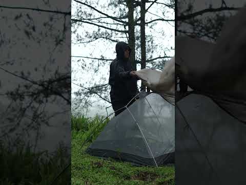 FOREST RAIN & SOLO CAMPING AMBIENCE #camping #shorts #raincamping thumbnail