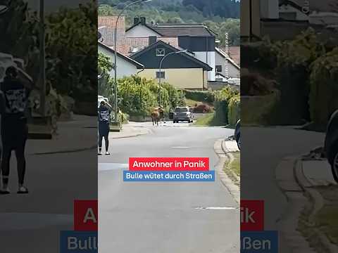POV: Du lebst auf dem Land thumbnail