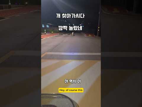 골목에서 머이 시커먼기 ..놀래라 #남해 #강아지 #몽실이 #뽀끄미 #리트리버 #산책 #유기견 #반려견 thumbnail