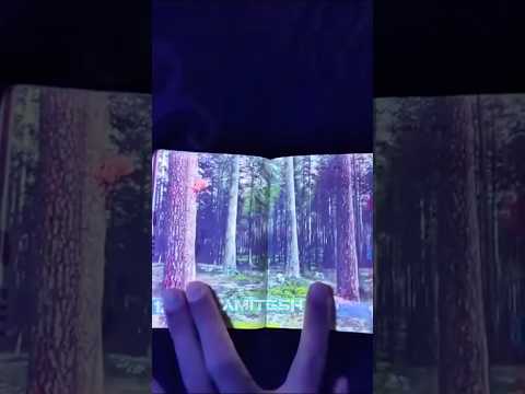 Латвийский паспорт нереально повторить #амитеш thumbnail