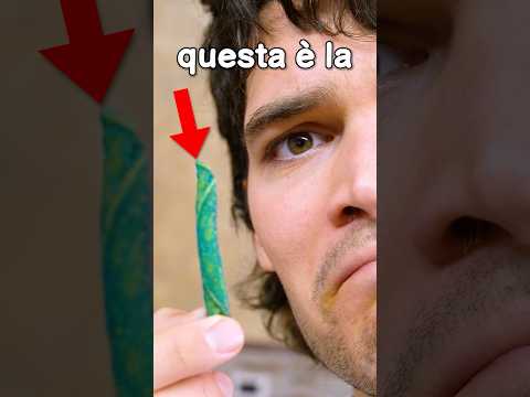 Ho testato la “patatina blu” thumbnail