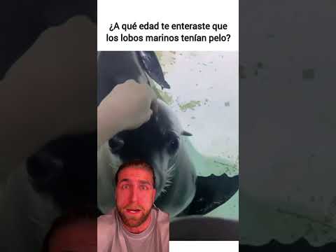 ESTO ES REAL CHAT? 😱​ thumbnail
