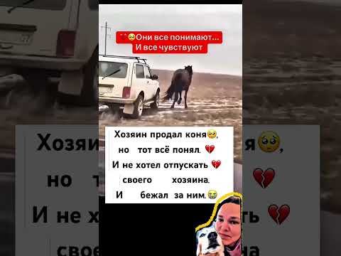 НЕ ПРЕДАВАЙТЕ ИХ😭💔 #животные #боль #реакция #реакции #рекомендации #рекомендация #топ #лучшее #рек thumbnail