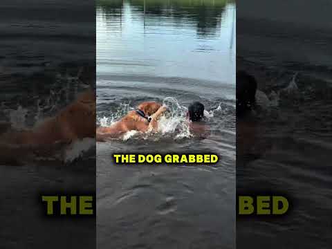 This Is Why You Don’t Take Dogs Into Deep Water thumbnail
