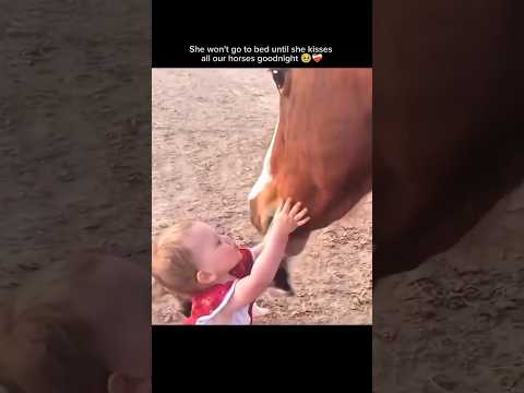 The Second Horse Understood The Assignment ?❤️ thumbnail