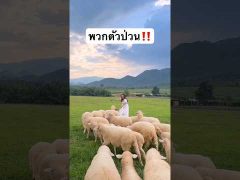 พวกตัวป่วน! กระโดดงี้ ได้หรออ #jamsai #jamsaijs #แจ่มใส thumbnail