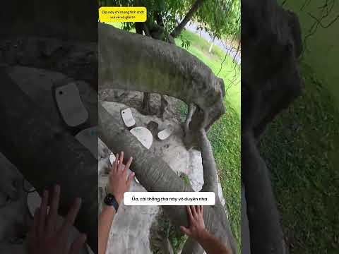 Cuộc đời toàn cú lừa! thumbnail