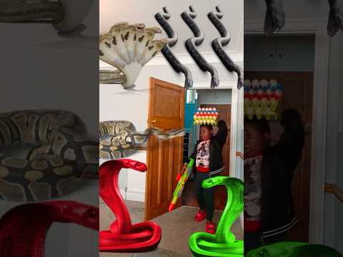 Marvelous Dancing Polish Cow funny DUCK cow dance Cow Song Videos panda giant strawberry asmr thumbnail