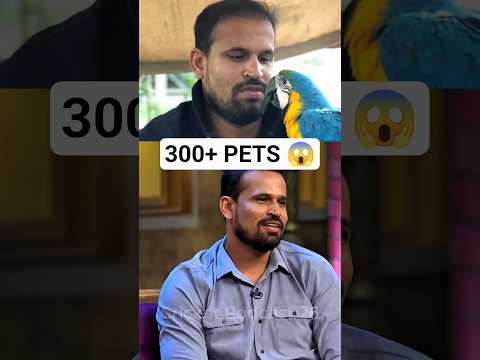 Yusuf Pathan के पास खुद का CHOTA ZOO है?! ??? #shorts #cricket thumbnail