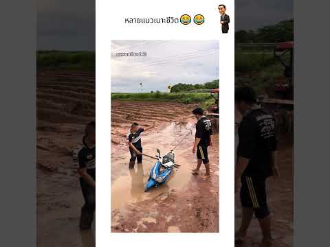 หลายแนวเนาะชีวิต?? thumbnail