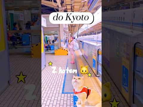 REAKCJA MOJEGO KOTA NA JAPONIĘ! thumbnail