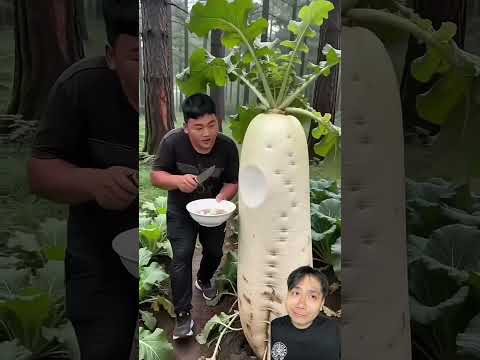 Cắt nấm ra xem nào thumbnail
