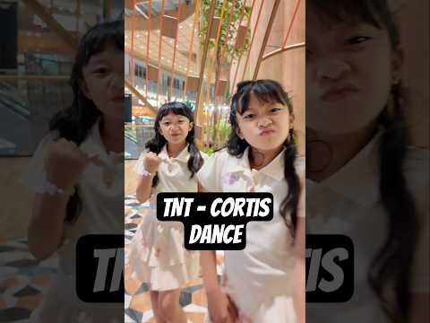 CORTIS TNT DANCE💥 | One Take soalnya Mall nya mau nutup haha #twins #cortis #dance #shorts thumbnail