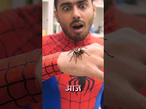 Try to become Spider at Home #shorts #gadgets thumbnail