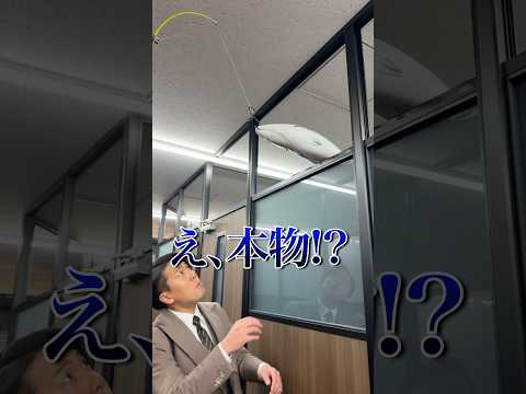 オフィスで化け物級の巨大魚が釣れました… thumbnail