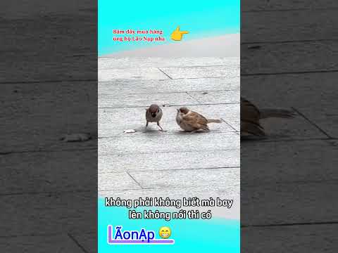 Thì bởi vậy ? #laonap thumbnail