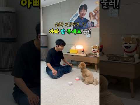 시각장애인과 사람 말을 하는 Ai강아지 #시트콤 thumbnail