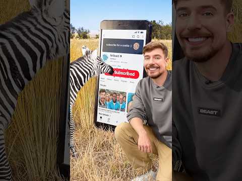 Will a Zebra Subscribe to me? thumbnail