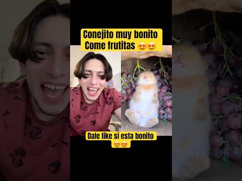 Conejito muy bonito come frutitas 😍😍 - Hey Crispin #cute thumbnail