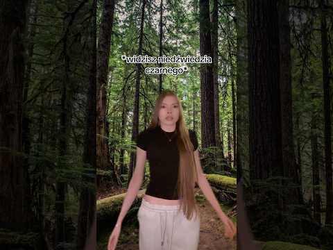 pov: widzisz niedźwiedzia thumbnail