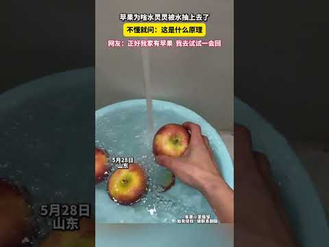 蘋果為啥水靈靈被水抽上去了？不懂就問：這是什麼原理。網友：正好我家有蘋果，我去試試一會回。 thumbnail