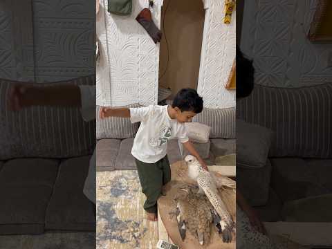 #trending #birds #اكسبلور #foryou #explore #shorts thumbnail