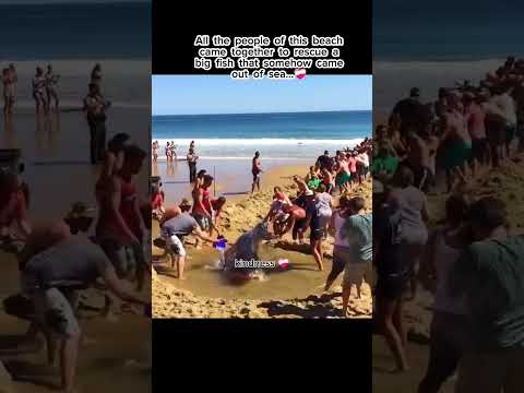 humanity~kindness#viral #relateable #kindness #positivity thumbnail