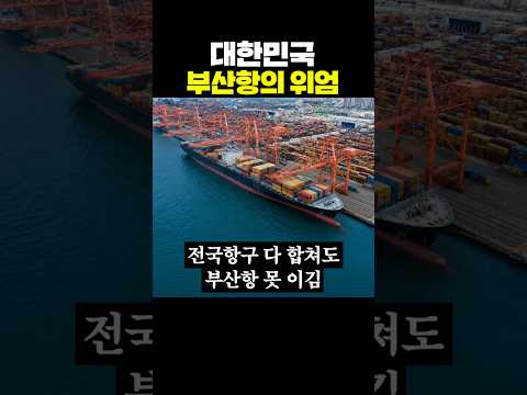대한민국 부산항의 위엄 thumbnail