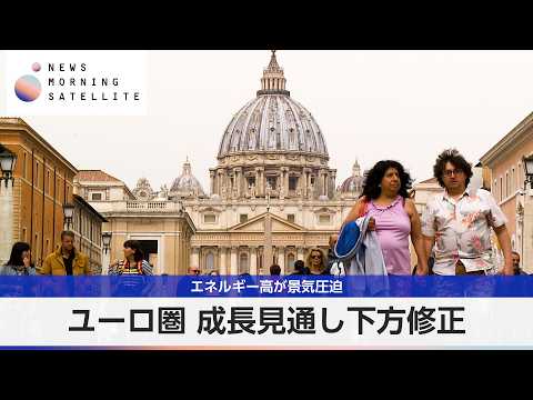 ユーロ圏 成長見通し下方修正 エネルギー高が景気圧迫【モーサテ】 thumbnail