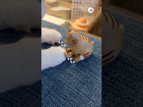 ふみふみする猫、される猫｜PECO thumbnail