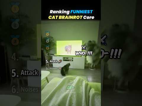 Ranking FUNNIEST CAT BRAINROT Core Moments!! 🐱📱 thumbnail