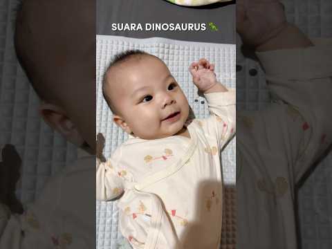Dinosaurus nya jadi imut ? thumbnail